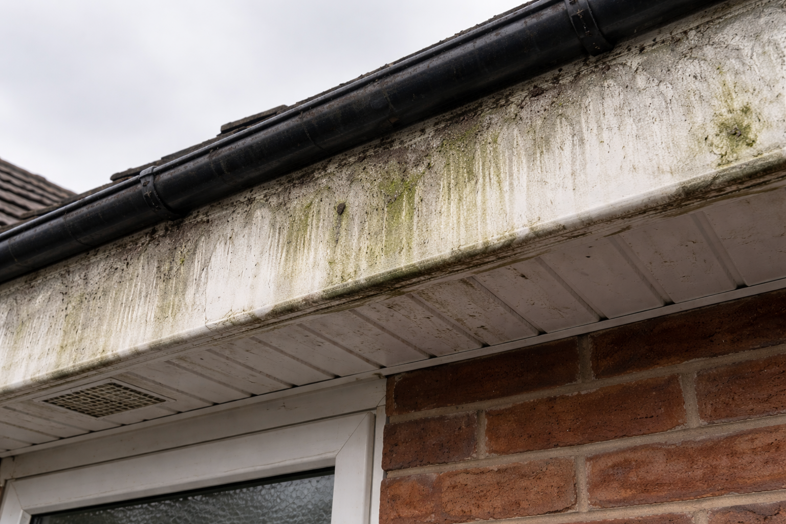 Before - Dirty stained fascia and soffits